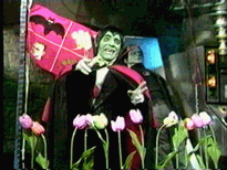 The Count and his Tulips.